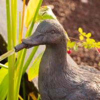 Sujet cracheur d'eau Canard                                                     