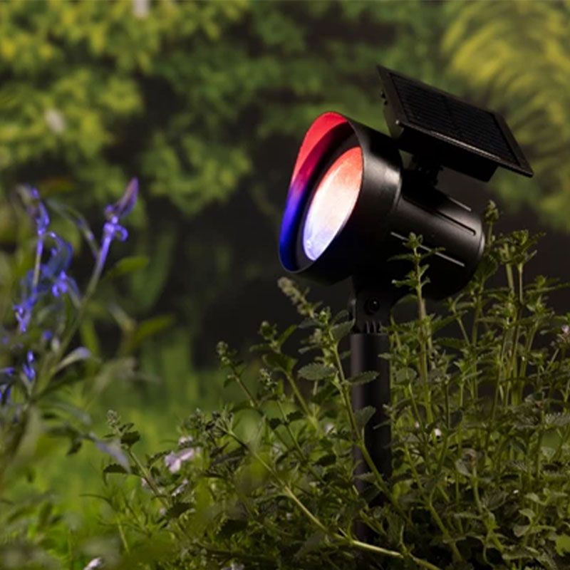 Duo spots solaires blanc chaud ou multicolore 25 lumens                         