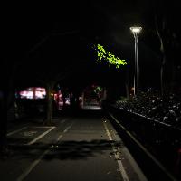 Tête de lampadaire 3000 lumens éclairage 360°                                   