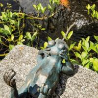 Fontaine solaire Grenouille paresseuse  600 l/h maxi                            