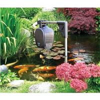 Distributeur de nourriture pour poissons