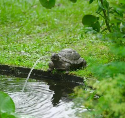 Sujet cracheur d'eau Tortue                                                     