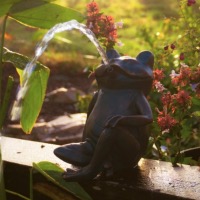 Fontaine solaire Grenouille Assise 600 l/h maxi                                 