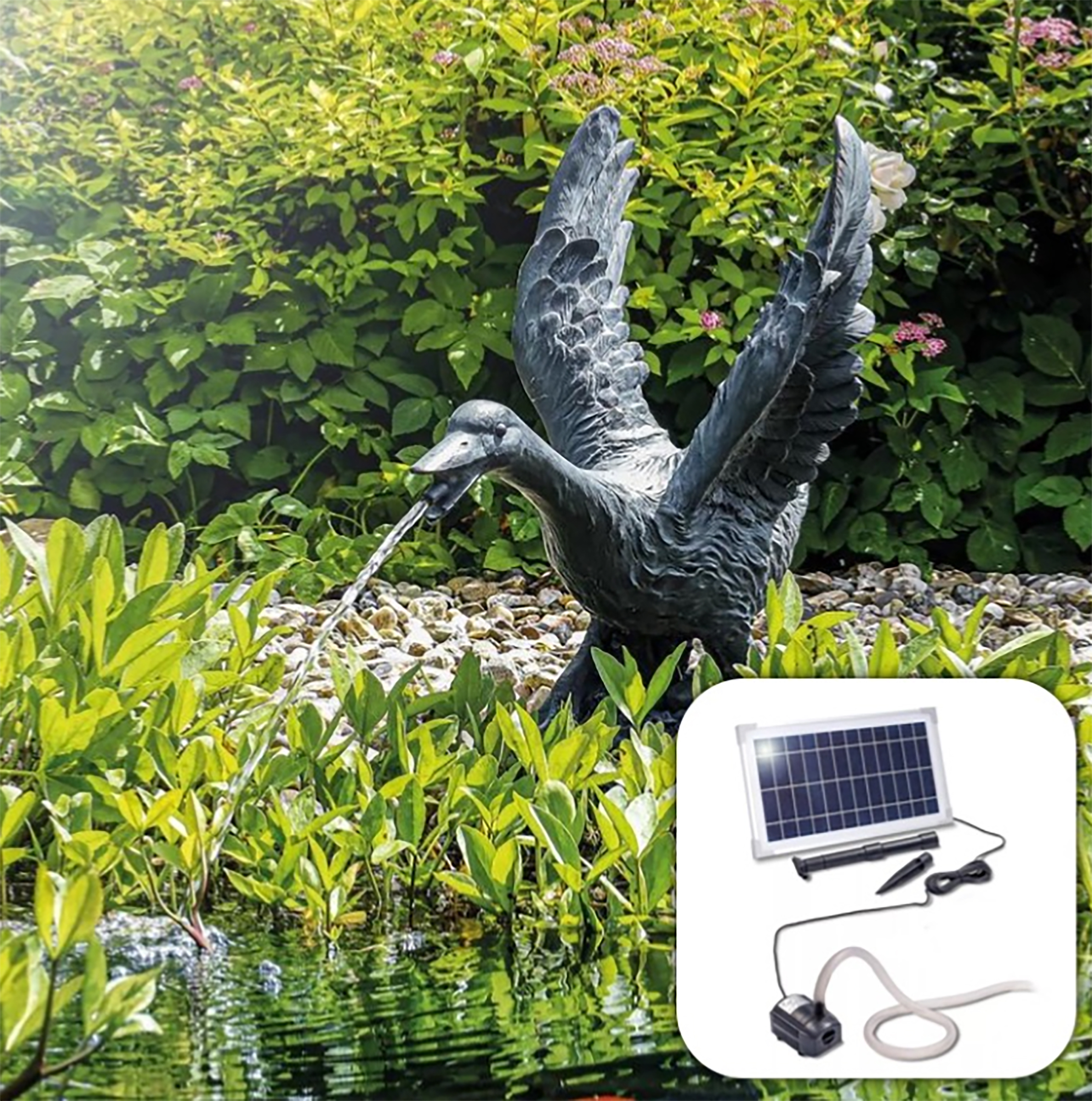 Fontaine solaire Oie Gustave Pro 850 l/h maxi                                   