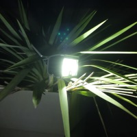 Spot solaire puissant Cubik 1000 lumens avec dtection                          