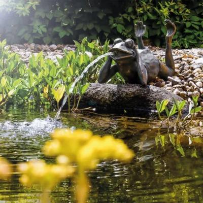 Fontaine solaire Grenouille paresseuse  600 l/h maxi                            