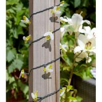 Guirlande solaire Buzzy Bee 50 abeilles blanc chaud 2 modes