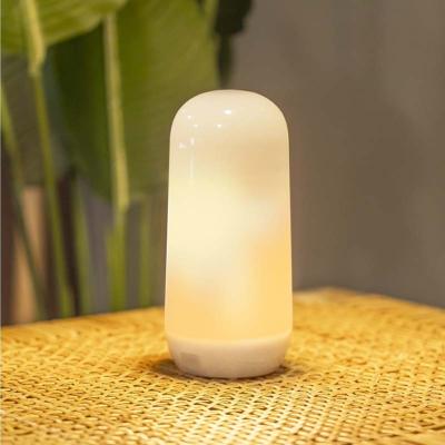 Lampe ampoule portable 200 lm Candy effet flamme ou fixe rechargeable USB avec télécommande