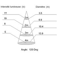 Projecteur led 10W, 730 lm