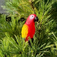 Perroquet lumineux solaire clipsable Rouge                                      