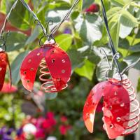 Guirlande solaire 10 coccinelles métal rouge