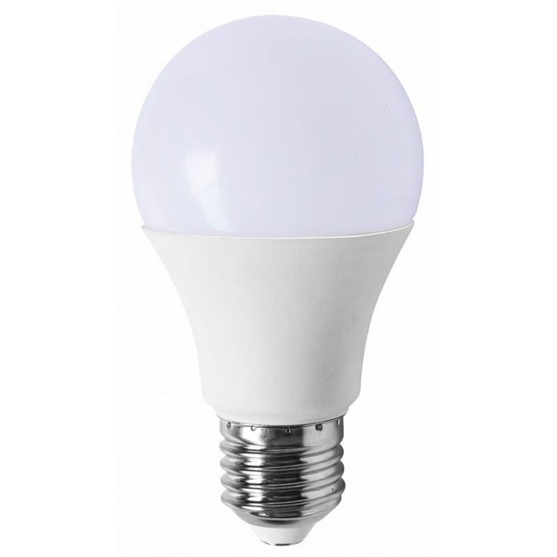 Ampoule LED 12V 24V DC E27 6W 550 lumens blanc froid