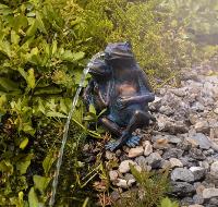 Elément de fontaine Duo de Grenouille                                           