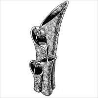 Fontaine MONTREUX solaire et secteur                                            