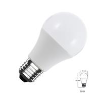Ampoule LED 12V 24V DC E27 5W 510 lumens blanc froid