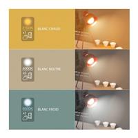 Ampoule Led Memo-K E27 806 lumens 10W type de blanc programmable