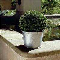 Bac à plantes galvanisé Zinc 13L diam. 33 x h. 25,5 cm