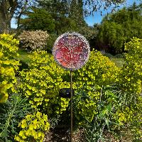 Piquet solaire papillon effet vitrail h 89cm                                    