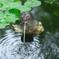 Loutre flottante cracheuse d'eau                                                