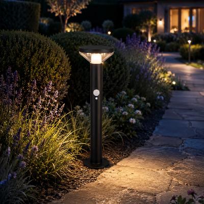 Borne solaire Antonia 200 lumens 50cm avec détecteur de mouvement               