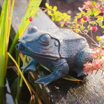 Sujet cracheur d'eau grenouille S                                               