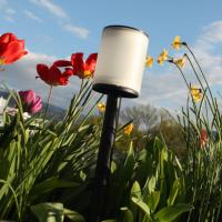 Éclairage Solaire : Intérieur, Extérieur, Lampe de jardin