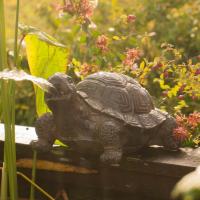 Sujet cracheur d'eau Tortue                                                     