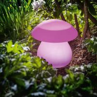 Champignon lumineux solaire multicolore