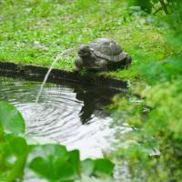 Sujet cracheur d'eau Tortue                                                     