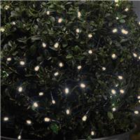 Guirlande  piles 100 led blanc chaud                                           