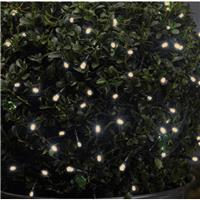 Guirlande  piles 50 led blanc chaud                                            