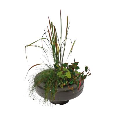 Panier flottant plante de bassin diam. 22 cm                                    