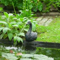 Sujet cracheur d'eau Cygne                                                      