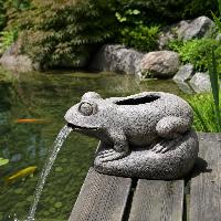 Sujet cracheur Grenouille L 45cm x H 26cm avec filtre intégré                   
