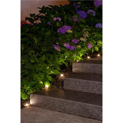 Guirlande solaire balisage éclairante 10 piquets led blanc                      