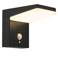Applique murale solaire Lana 600 lumens avec détecteur de mouvement             