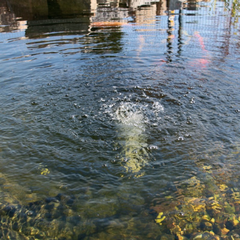 Bulleur solaire bassin Air-S, aérateur bassin