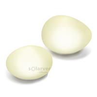 Lampe solaire décorative Duo Pierre, boite de 2                                 