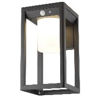 Applique murale solaire Julia 580 lumens avec détecteur de mouvement            