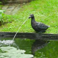 Sujet cracheur d'eau Canard                                                     