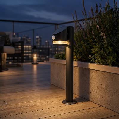 Borne solaire Rosa 60 lumens 50cm avec détecteur de mouvement                   