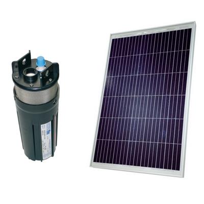 Kit pompe solaire puits 80W avec pompe Shurflo 9325, débit 200 l/h              
