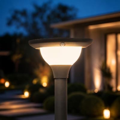 TETE DE LAMPADAIRE MASTER 2000 LUMENS 15W -  TELECOMMANDE                       
