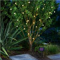 Guirlande solaire 30 boules  bulles led blanc chaud                            