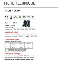 Pile alcaline 1,5V LR20, Pack de 2