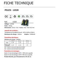 Pile alcaline 1,5V LR20, Pack de 2                                              