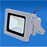 Projecteur led 10W, 730 lm