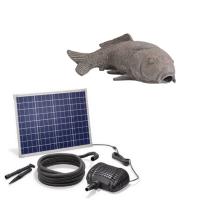 Kit fontaine solaire Carpe filtrante gros débit 2500 l/h maxi                   