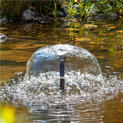Pompe Submersible Esotec Roma 12-24V DC – Idéale Pour Bassin, Fontaine Et Éclairage LED Solaire