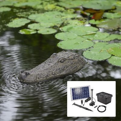 Kit fontaine crocodile  avec pompe solaire directe 600L - 10W                   